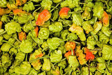 《GTA三部曲：终极版》首发灾难之后，开发商被撤换